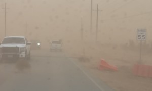 Dirt Storm Stirs Up Ground Debris