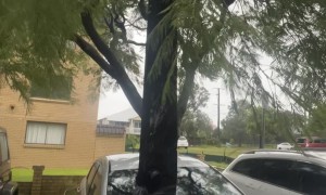 Gutter Stuck Through Windshield After Cyclone Alfred