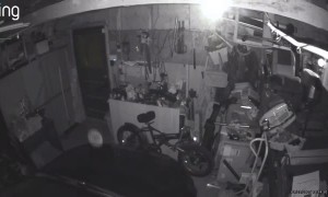 Security Camera Captures "Orb of Light"