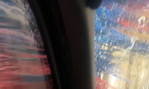 Water Leaks Through Sunroom During Carwash