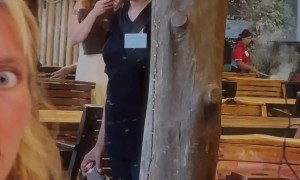 Swarm of Moths Emerge From Tree Trunk in Restaurant