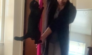 Pole Dancing With My Cat