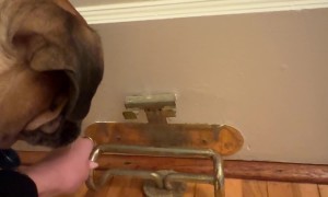 Old Door Has Cool Floor Lock