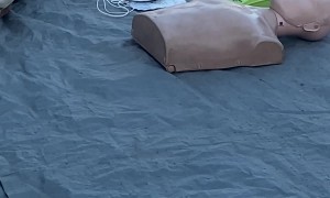 Dog Offers Itself As CPR Dummy