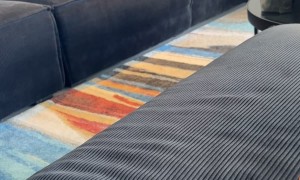 Kitten Dramatically Tumbles Away From Gentle Tap