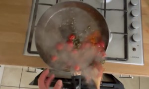 Homemade Lunch Lunch Dropped on Floor