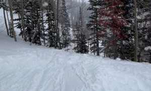 Dad Fails Ski Jump Backflip