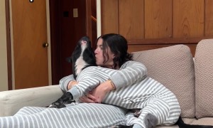 Matching Pajama Party With Pup