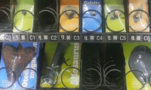 Fossil Vending Machine