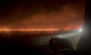 Florida Wildfire