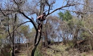 Zilker Park Rope Swing Fail Dumps Man In Water