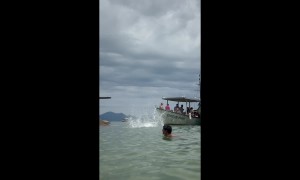 Woman Belly Flops While Swimming In Brazil