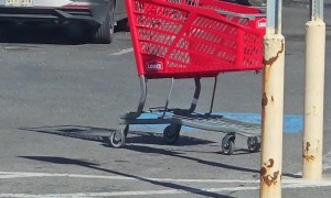 Malicious Shopping Cart Makes Targeted Attack