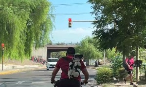 Backpack Bicycle Pup