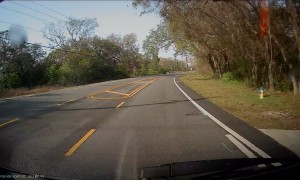 Voice Message Interrupted By Jumping Deer