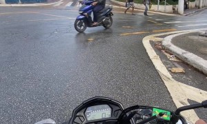 Dog Slips Into Man On Rainy Street