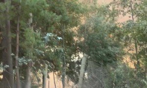 Family Escapes Wildfire in Santa Jauna, Chile