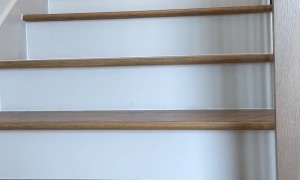 St. Patrick's Day Corgi Hops Down Stairs