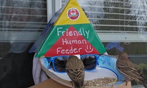 Incognito Face Feeder for Birds