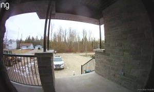 Man Walks Dog's Coat But Not The Dog