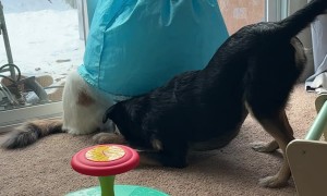 Family Adorably Argues Over Heat Vent