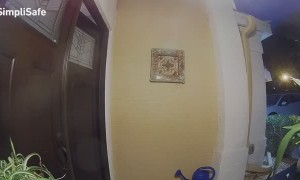 Frog Freak Out At Front Door