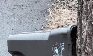 Trash Bin Mistaken for Cybertruck