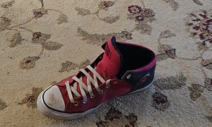 Dog Gags At Shoe's Stench