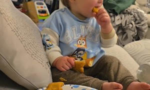 When You're Tired, but You Have Dino Nuggets