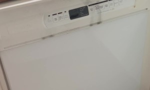 Malfunctioning Dishwasher Shorts Electrical