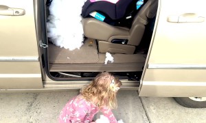 Dad Fills Car With Cotton