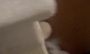 Magnolia Won't Let You Out of Her Sight