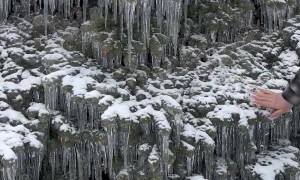 Northern Michigan Ice Storm Freezes Tree Solid