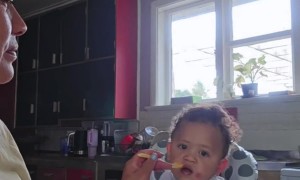 Son Spits Out Carrot