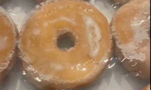 Cat Warms Up Donuts With Its Butt