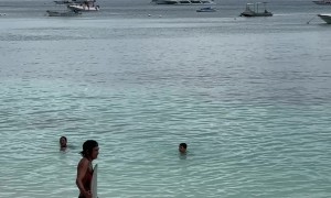 Dog Surfs On Alona Beach