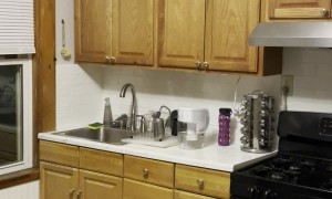 Double Bass Step Stool