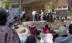 Woman Disrupts Protest and Gets Slapped
