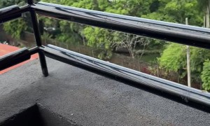 Butterfly Release Fail