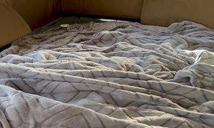 Tour of a Cybertruck Camper