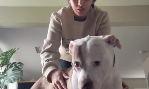 The Award for Best Actress Goes To: