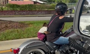 Pet Monkey Rides on Back of Motorcycle