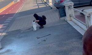 Horse Lets the Intrusive Thoughts Win