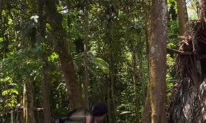 Woman Practices Yoga While a Monkey Clings to Her