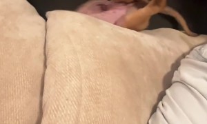 Puppy Face Dives Into Couch