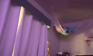 San Diego Earthquake Rattles Room