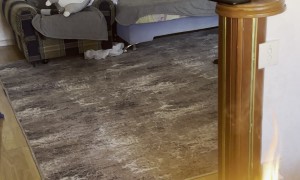 Man Tries Everything To Blow Out Birthday Candles