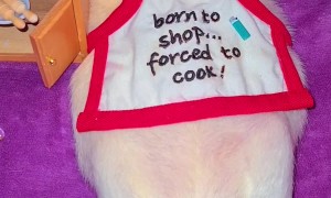 Pet Rat Cooks Dinner