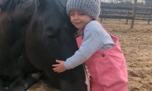 Giving Horse a Hug