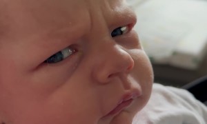 The Frown Says It All